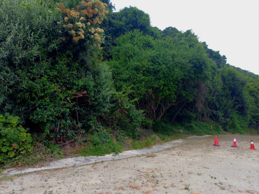 0 Bedroom Property for Sale in Wilderness Central Western Cape